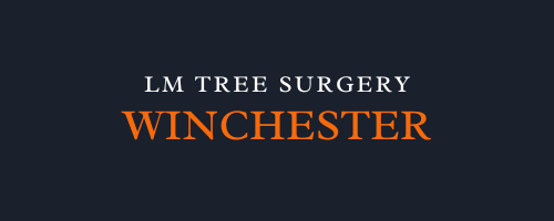 LM Tree Surgery Winchester